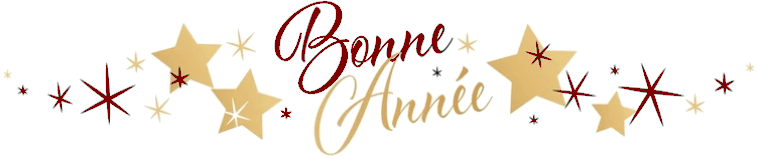 Bonne ann�e 2026 !
